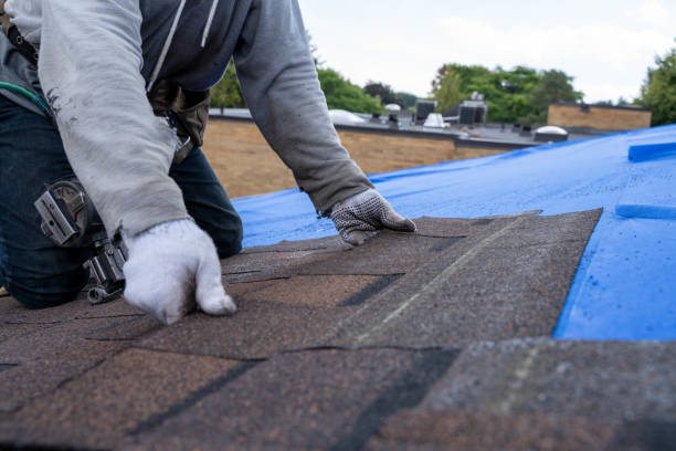Roof Gutter Cleaning in Remington, IN